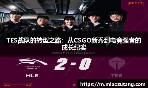 77体育官网