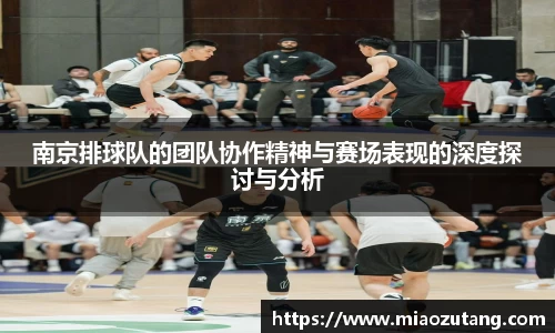 77体育官网