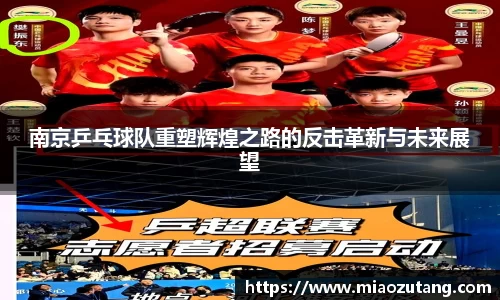 南京乒乓球队重塑辉煌之路的反击革新与未来展望