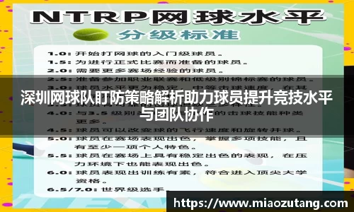 77体育app下载官网